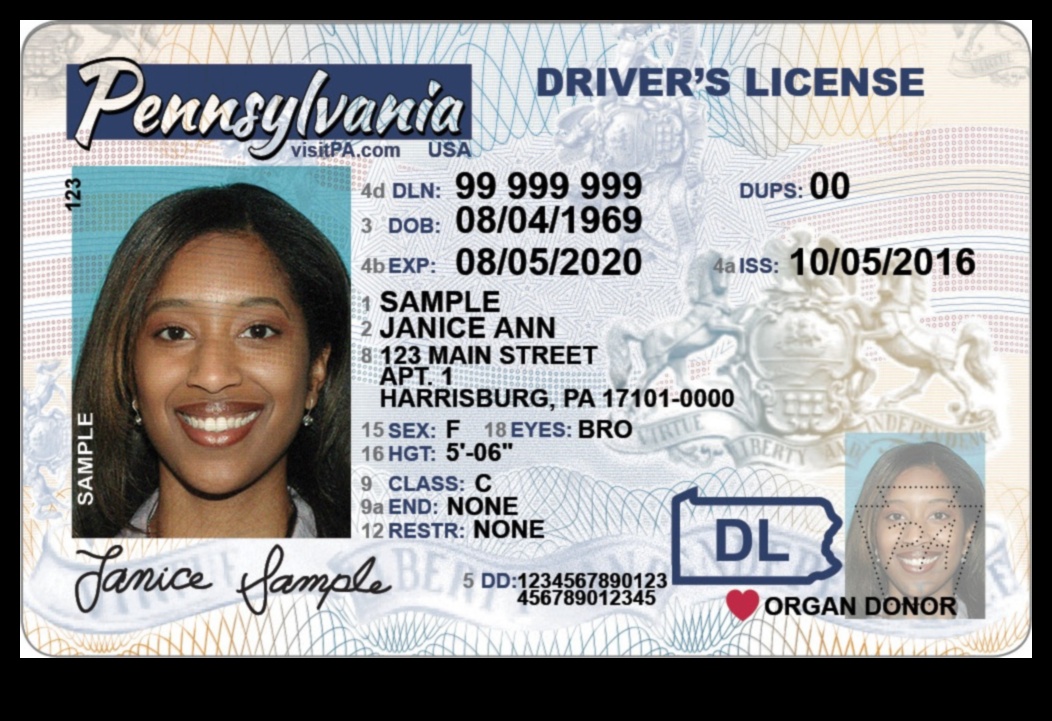 Expired Visa No Problem How to Get a Driver's License 1