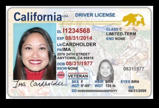 Get Your CDL License with an F1 Visa 1