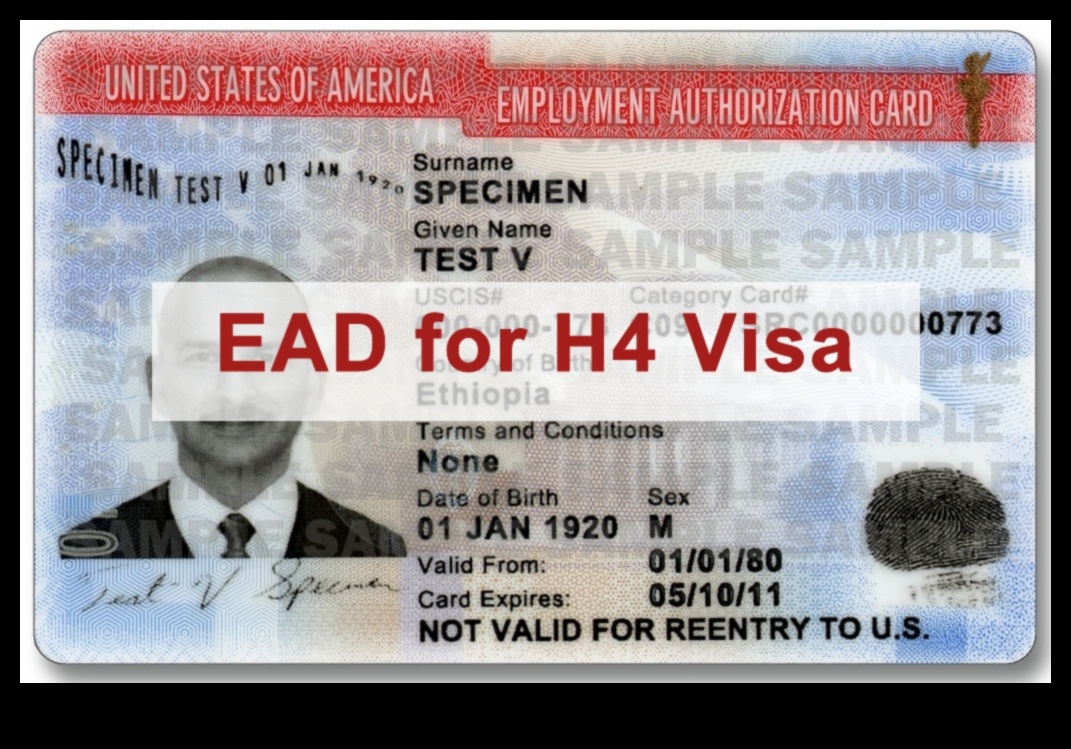 H4 Visa A Work Permit for Spouses 1