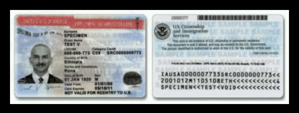 can h4 visa holder work in usa