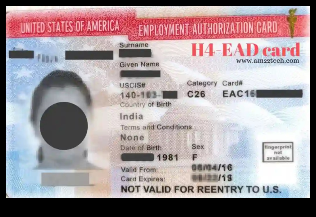 can h4 visa holder work in usa