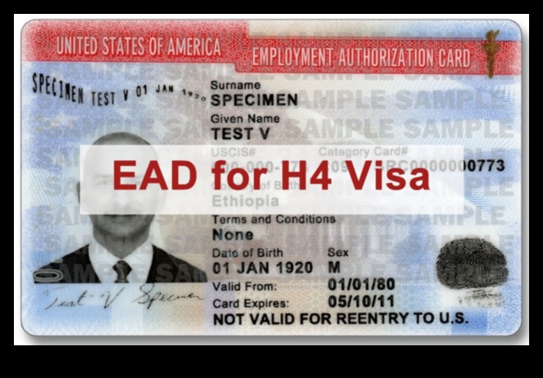 H4 Visa Holders A Pathway to Work Authorization 1