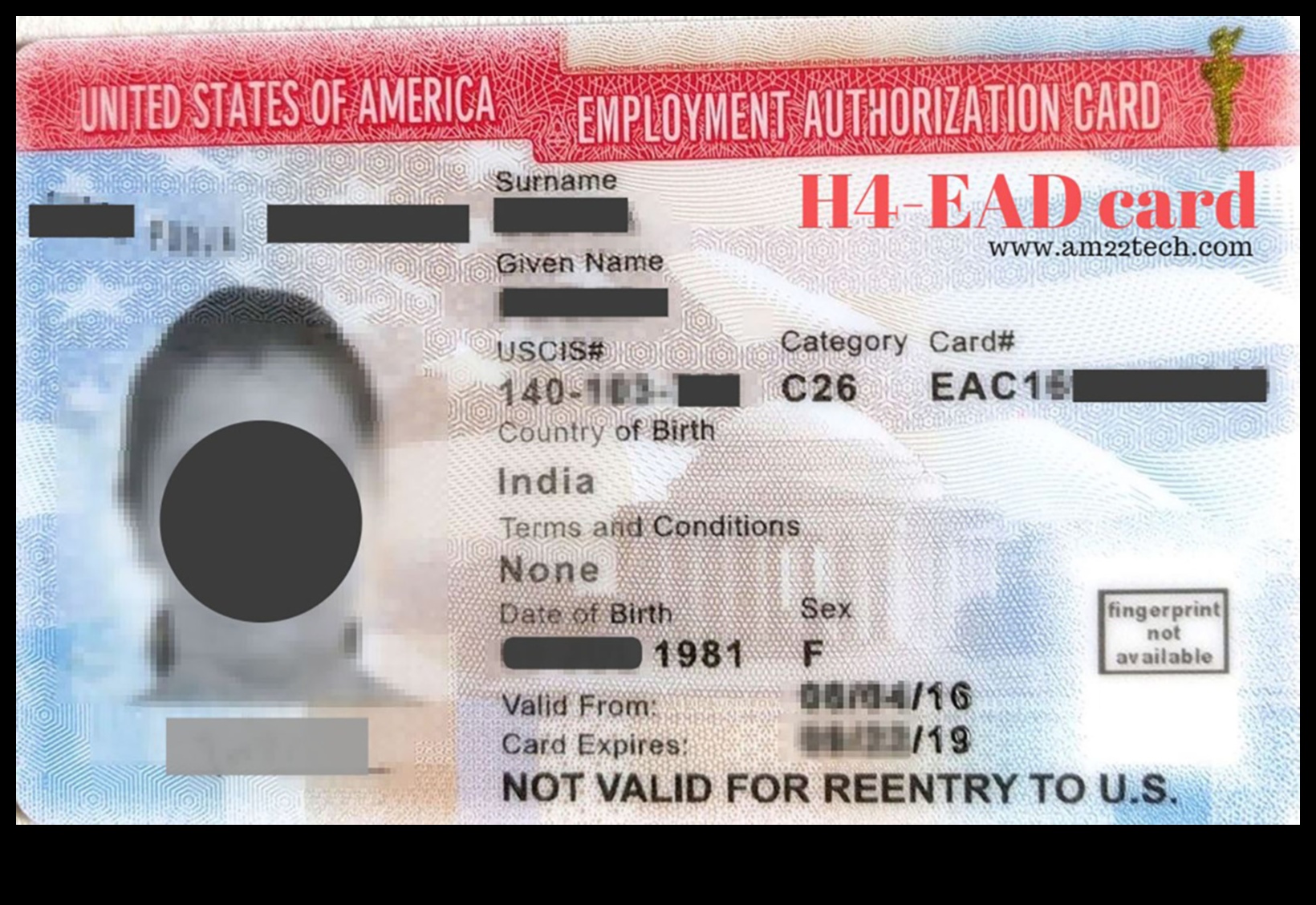 can h4 visa holder work